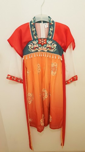 Robe déguisement princess
