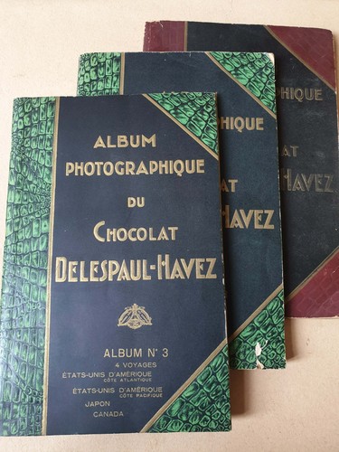 Lot de 3 Album Photographique