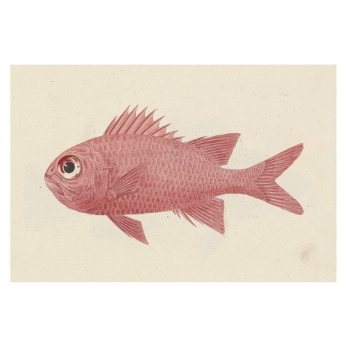 Affiche vintage poisson - affiche,