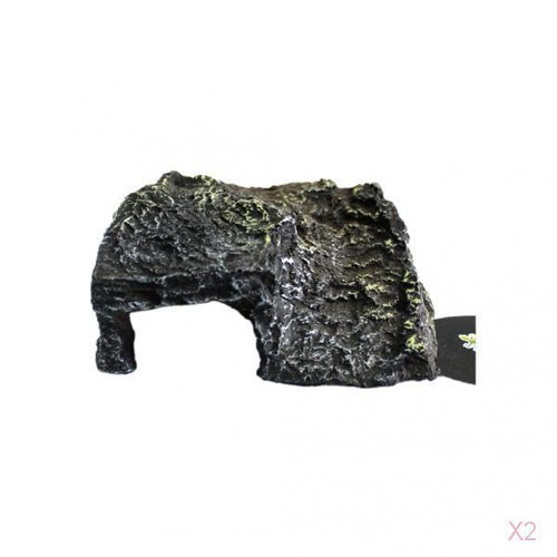 Reptile vivarium décoration - vivarium,