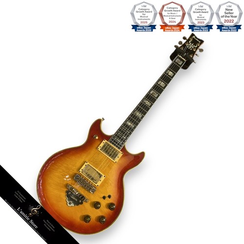Guitare électrique ibanez - guitare,
