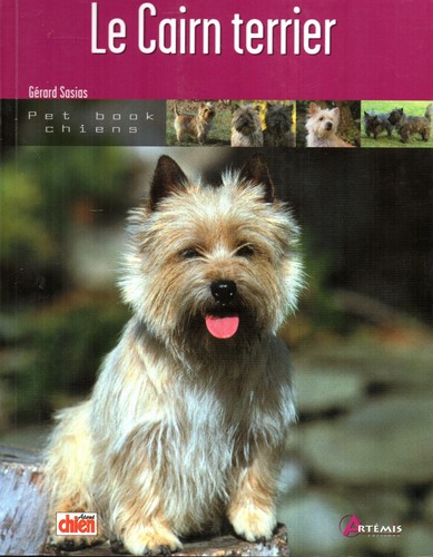 Cairn terrier gérard - ,