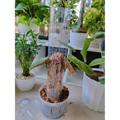 Poteau pour mousse - en,