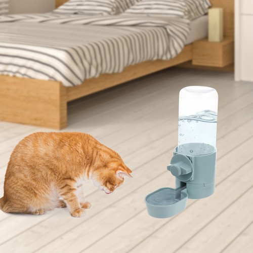 Gamelle eau pour chien - d'eau,