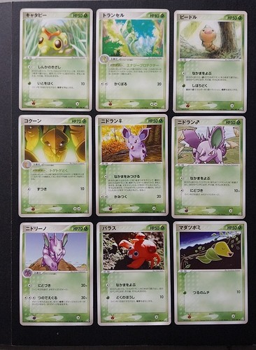 Pokemon japonaise flight - pokemon, of