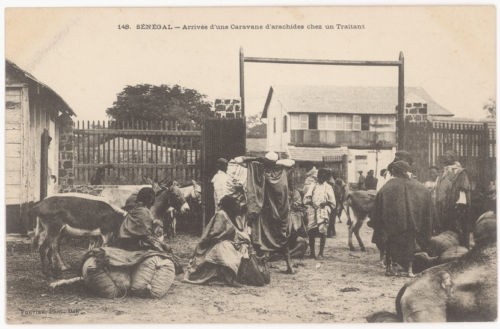 Cpa senegal caravane - senegal,