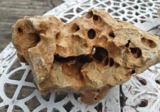 Texas Holey Rock Aquarium Decor 5.45 pound Limestone Stone With Red Clay Accent