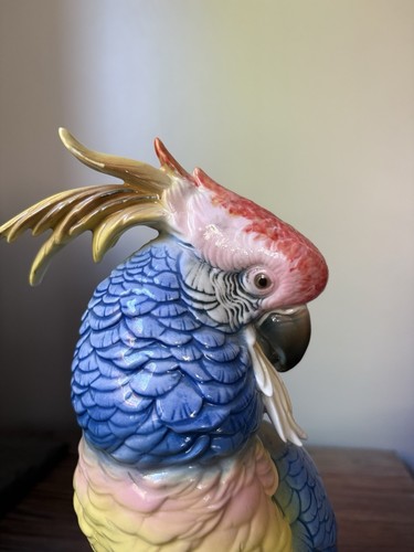 Grand perroquet cacatoes - , en