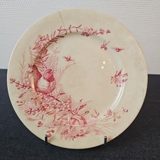 Assiette Élevée Service