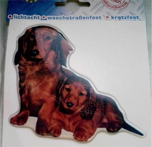 Sticker teckel dachshund - 3-d,