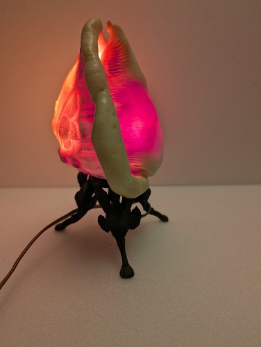 Lampe table coquillage - lampe,