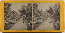 Plant Vegetation Indoor of a Greenhouse c1900 Photo Stereo Photomechanical