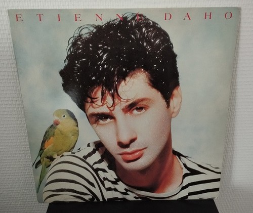 Tours vinyle etienne daho - 33,
