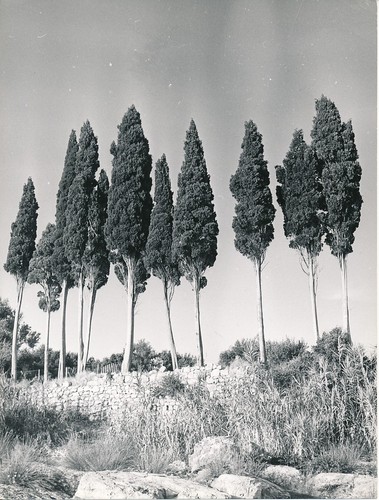 Croatie 1960 rangée de - rangée,