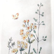 Eau-forte Ancienne Bouquet de Fleurs sauvage Colorée circa 1930 Signée Cadre 