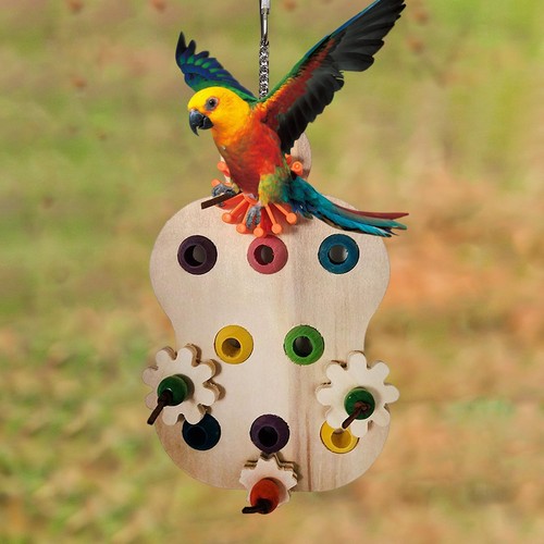 Perroquet chewing toys cage - perroquet,