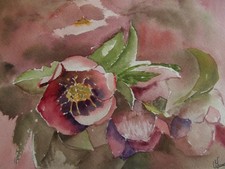 Aquarelle originale signée