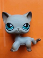 ✨️LPS #391 LITTLEST PETSHOP AUTHENTIC CHAT EUROPEAN EUROPEAN Shorthair Cat✨️
