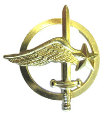 Insigne de Beret - COMMANDO DE