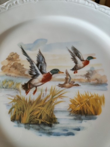Lot vaisselle porcelaine - lot,