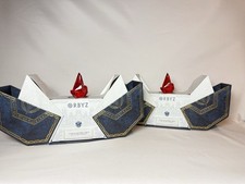 🎟️ Tomorrowland 25 – 2