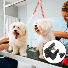  Accessoire De Toilettage