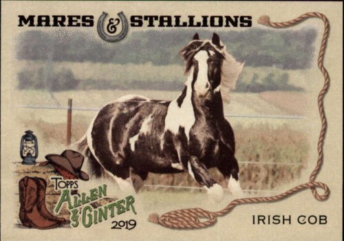 2019 allen and ginter - 2019,