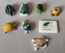 8 Turtle Turtle Beans ?