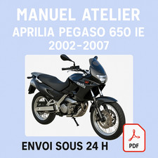 Manuel Atelier Aprilia Pegaso