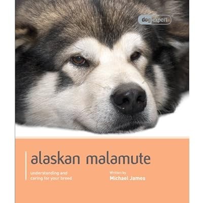 Alaskan malamute - (dog, expert)