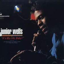 It's My Life Baby, Junior Wells