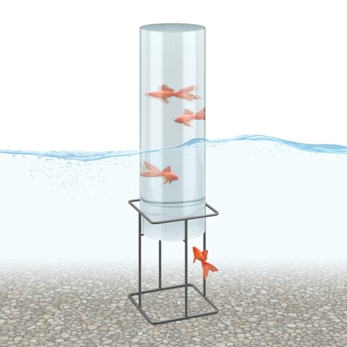 Tour poisson decoration bassin - poisson,