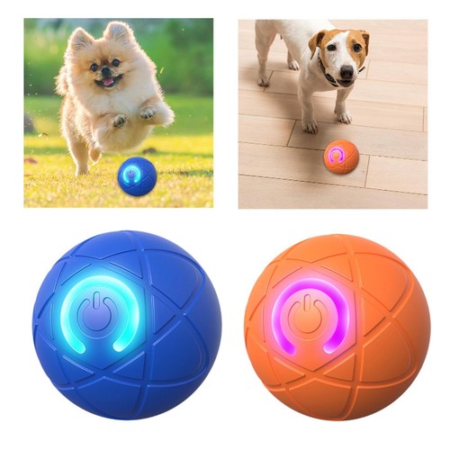 Baule jouets chien - baule, de