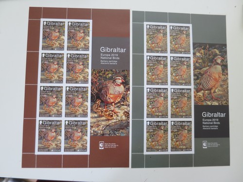 Oiseaux cept 2019 feuillet - ,