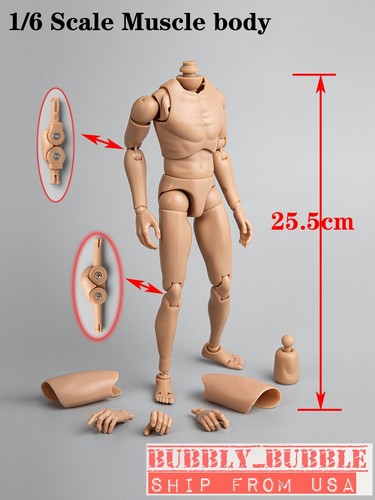 Narrow shoulder male body - male,