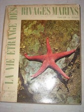 5136 Le Danois La vie étrange des rivages marins