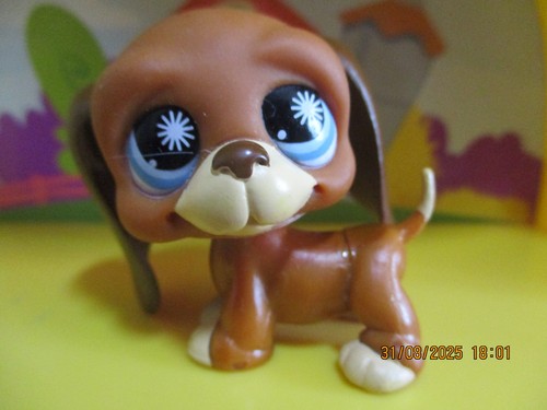 Petshop chien basset hound - petshop,