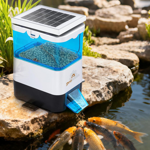 Automatic Fish Feeder for Pond