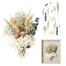 Fleurs séchées Naturelles