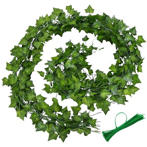 12pcs lierre plantes - 12pcs,