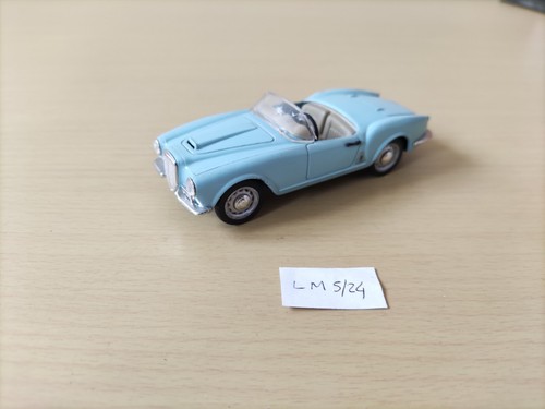 Brumm lancia aurelia - aurelia, b24