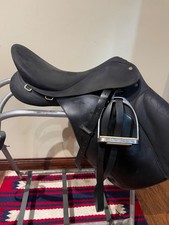 17.5" Wintec English