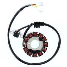 ElectroSport Stator Magnet