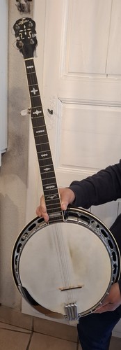 Aria banjo cordes avec étui - aria, 4
