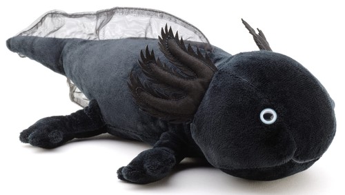 Axolotl 32 cm - -,
