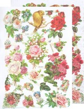 Chromo EF Découpis Fleur 7162