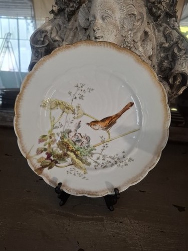 Assiette oiseaux en - au,