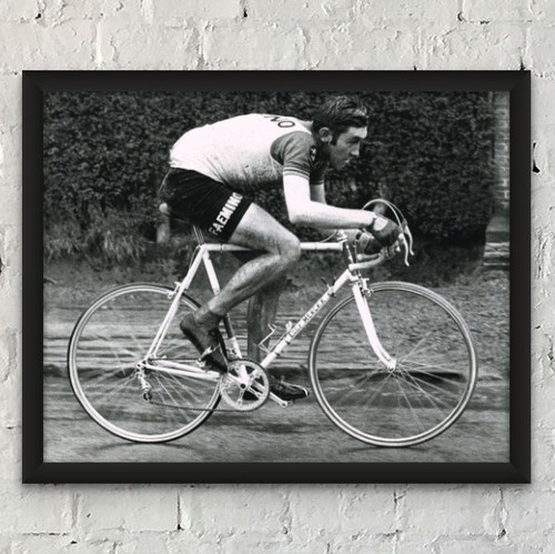 Eddy merckx 1970 - merckx,,