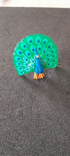 Animal paon zoo foret - ,