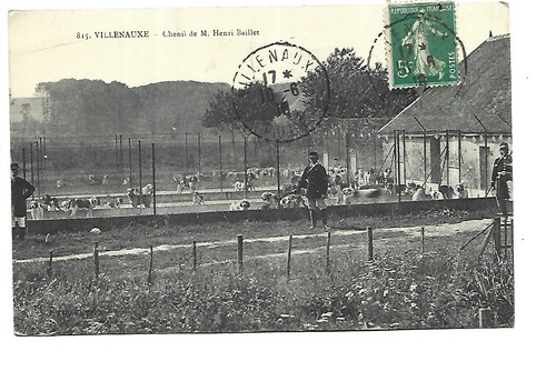 Villenauxe chenil de m - de,